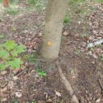 fot: Przemysław Kozubaj