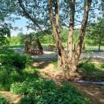 fot: Przemysław Kozubaj