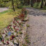 fot: Przemysław Kozubaj