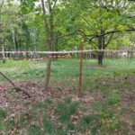 fot: Przemysław Kozubaj