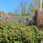 fot: Przemysław Kozubaj