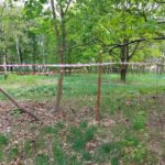 fot: Przemysław Kozubaj