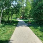 fot: Przemysław Kozubaj