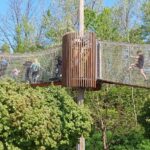 fot: Przemysław Kozubaj