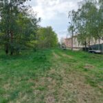 fot: Przemysław Kozubaj