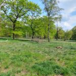 fot: Przemysław Kozubaj