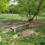 fot: Przemysław Kozubaj