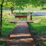 fot: Przemysław Kozubaj