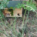 fot: Arkadiusz Orzeszko