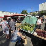 fot. Bartosz Schaefer