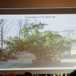 fot. M.Wróbel-Szała