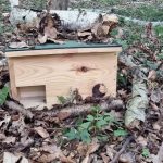 fot: Arkadiusz Orzeszko