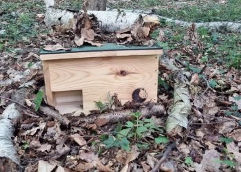 fot: Arkadiusz Orzeszko