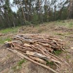 fot. Bartosz Schaefer