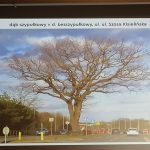 fot. M.Wróbel-Szała