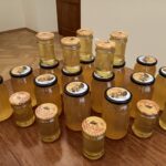 fot: Materiał prasowy UZ