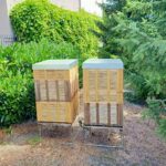 fot: Materiał prasowy UZ