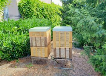 fot: Materiał prasowy UZ