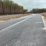 fot: Przemysław Kozubaj