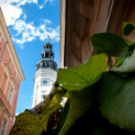 fot: Krzysztof Filmanowicz