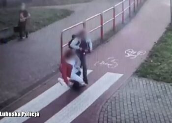 Fot. KMP w Zielonej Górze