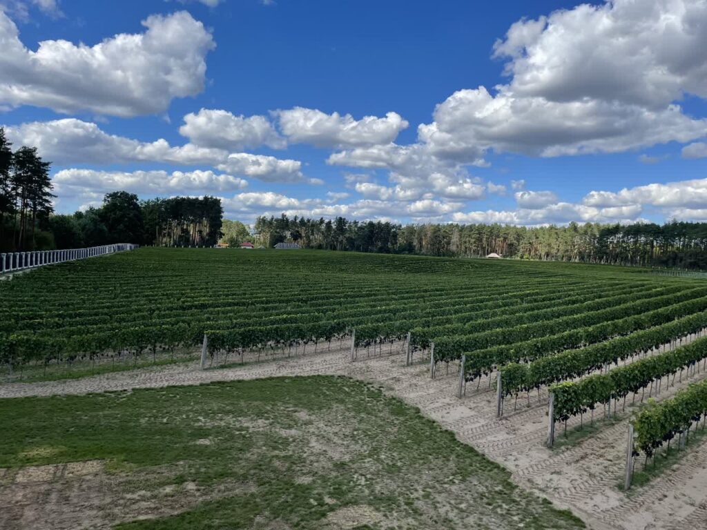 Fot. Bartosz Schaefer