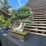 fot. Bartosz Schaefer