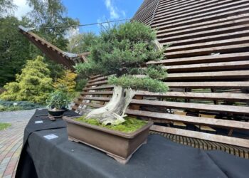 fot. Bartosz Schaefer