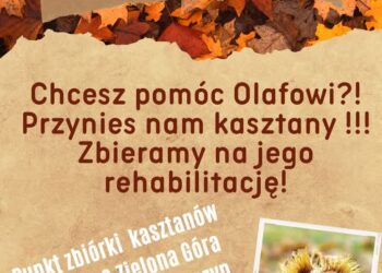 fot: materiał organizatorów