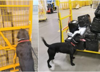 Fot. Izba Administracji Skarbowej w Zielonej Górze