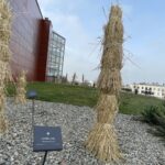 fot. Bartosz Schaefer