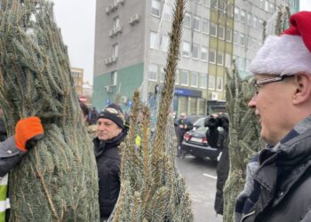 fot. Bartosz Schaefer