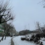 fot. Bartosz Schaefer