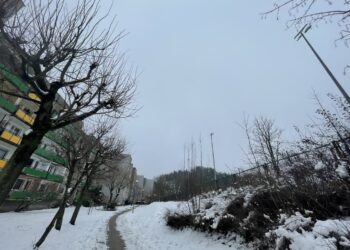 fot. Bartosz Schaefer