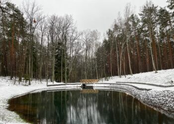 fot: Nadleśnictwo Zielona Góra