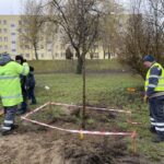 fot. Bartosz Schaefer