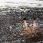 Tomasz Łączkowski. Basia badająca strukturę dna jednego z górskich wodospadów