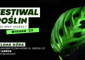 fot: materiał organizatorów