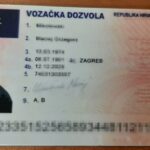 Fot. Straż Graniczna/FB