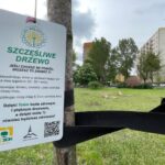 Fot. Bartosz Schaefer