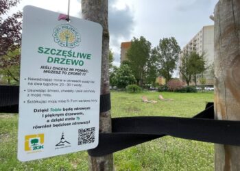 Fot. Bartosz Schaefer