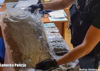 fot. Policja Zielona Góra