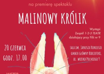 materiały organizatora