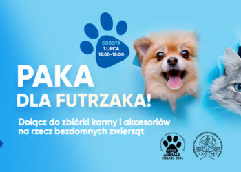 Materiały promocyjne organizatora