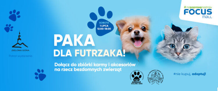 Materiały promocyjne organizatora