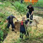 Fot. UM Zielona Góra