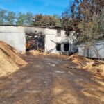 Fot. UM Zielona Góra