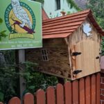 fot. Ośrodek Rehabilitacji dla Zwierząt Dziko Żyjących w Starym Kisielinie