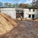 Fot. UM Zielona Góra