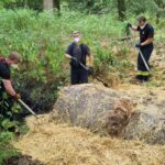 Fot. UM Zielona Góra